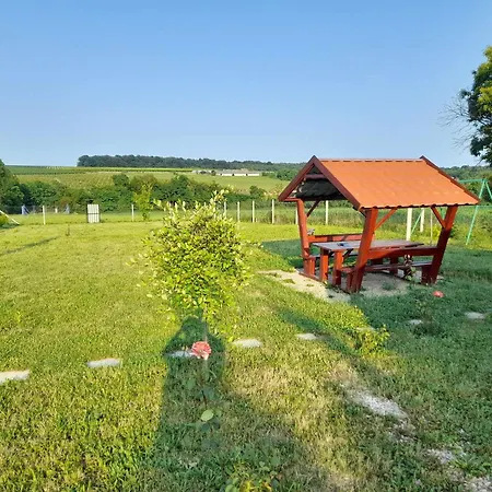 Szent Marton Jurtaszallas Zalakaros Koezeleben Nagyrécse